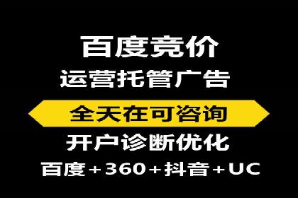 百度竞价代理的客户案例：如何实现ROI最大化